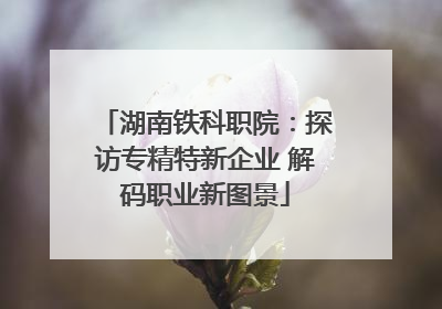 湖南铁科职院：探访专精特新企业 解码职业新图景