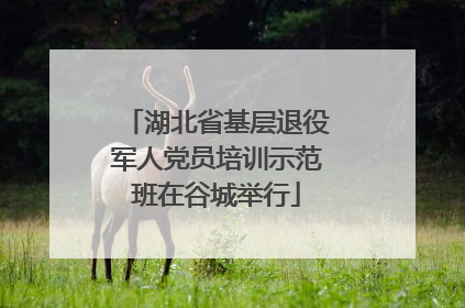 湖北省基层退役军人党员培训示范班在谷城举行