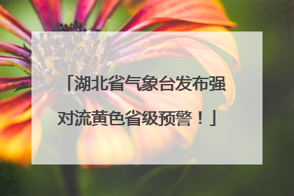 湖北省气象台发布强对流黄色省级预警！