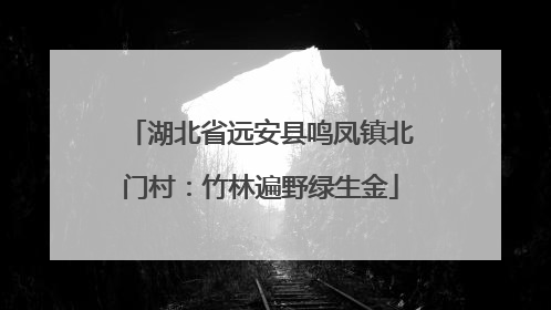 湖北省远安县鸣凤镇北门村：竹林遍野绿生金