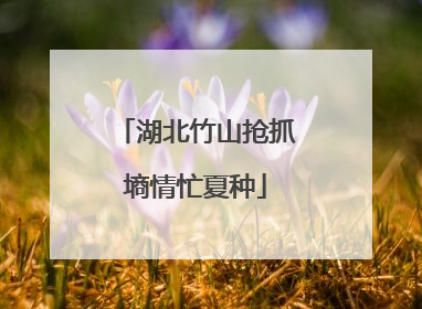 湖北竹山抢抓墒情忙夏种