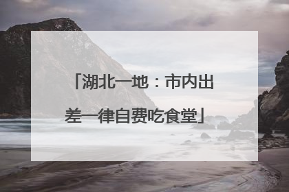 湖北一地：市内出差一律自费吃食堂