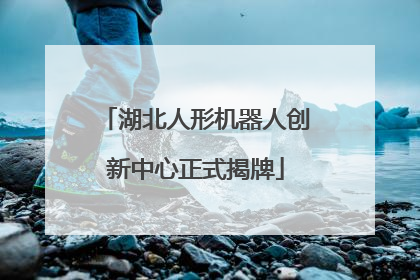 湖北人形机器人创新中心正式揭牌