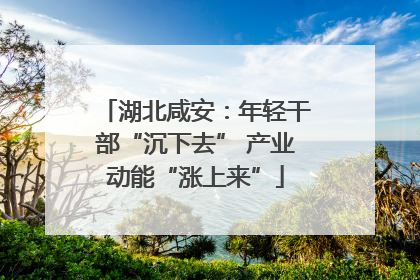 湖北咸安：年轻干部“沉下去” 产业动能“涨上来”
