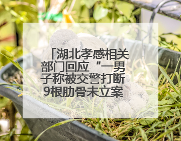 湖北孝感相关部门回应“一男子称被交警打断9根肋骨未立案”：已成立联合专班开展工作