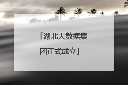 湖北大数据集团正式成立
