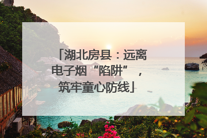 湖北房县：远离电子烟“陷阱”，筑牢童心防线