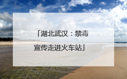 湖北武汉：禁毒宣传走进火车站
