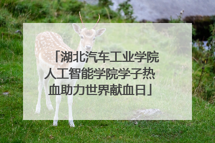 湖北汽车工业学院人工智能学院学子热血助力世界献血日