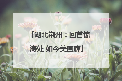 湖北荆州：回首惊涛处 如今美画廊