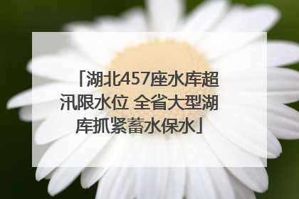 湖北457座水库超汛限水位 全省大型湖库抓紧蓄水保水