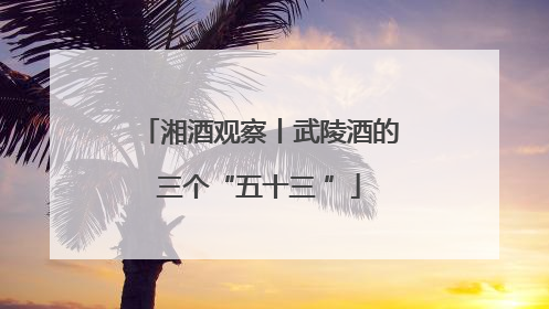湘酒观察丨武陵酒的三个“五十三 ”