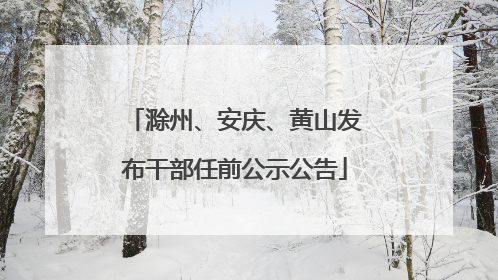 滁州、安庆、黄山发布干部任前公示公告