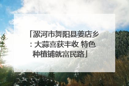 漯河市舞阳县姜店乡：大蒜喜获丰收 特色种植铺就富民路