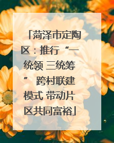菏泽市定陶区：推行“一统领 三统筹” 跨村联建模式 带动片区共同富裕