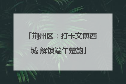荆州区：打卡文博西城 解锁端午楚韵
