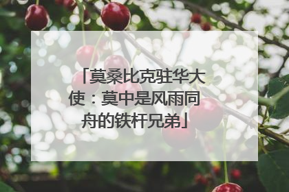 莫桑比克驻华大使：莫中是风雨同舟的铁杆兄弟