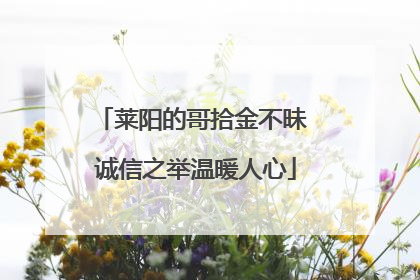 莱阳的哥拾金不昧 诚信之举温暖人心