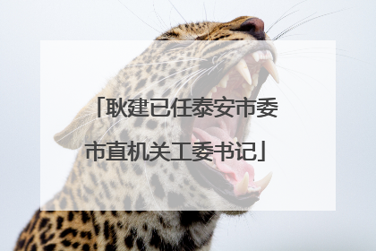 耿建已任泰安市委市直机关工委书记