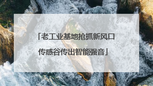 老工业基地抢抓新风口 传感谷传出智能强音