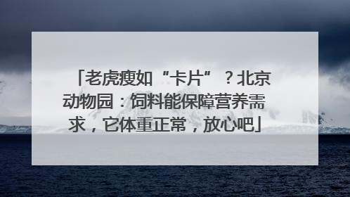 老虎瘦如“卡片”？北京动物园：饲料能保障营养需求，它体重正常，放心吧