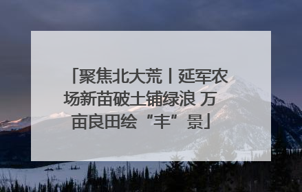 聚焦北大荒丨延军农场新苗破土铺绿浪 万亩良田绘“丰”景