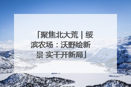 聚焦北大荒｜绥滨农场：沃野绘新景 实干开新局
