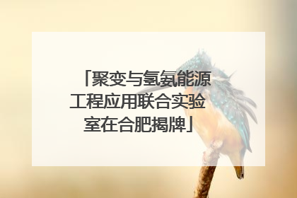 聚变与氢氨能源工程应用联合实验室在合肥揭牌