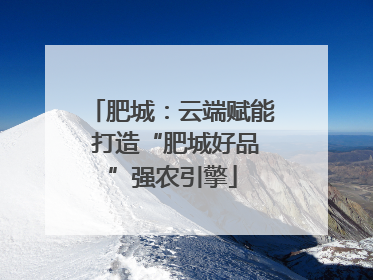 肥城：云端赋能 打造“肥城好品”强农引擎