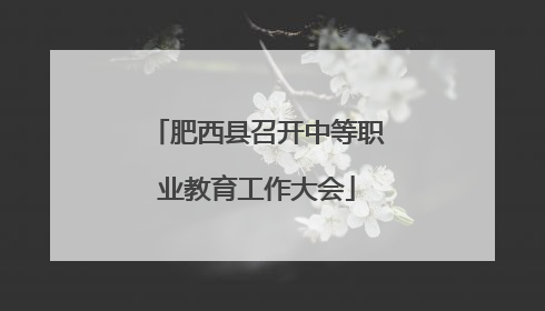 肥西县召开中等职业教育工作大会