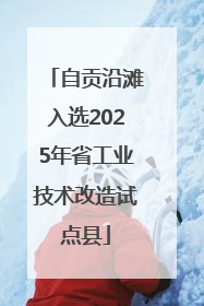 自贡沿滩入选2025年省工业技术改造试点县