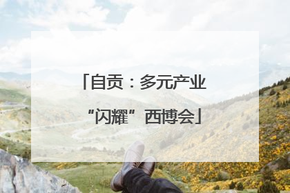 自贡：多元产业“闪耀”西博会