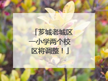 芗城老城区一小学两个校区将调整！
