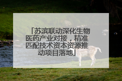 苏滨联动深化生物医药产业对接，精准匹配技术资本资源推动项目落地