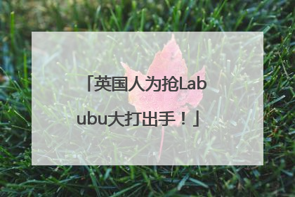 英国人为抢Labubu大打出手！