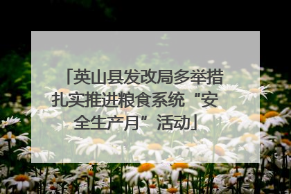 英山县发改局多举措扎实推进粮食系统“安全生产月”活动