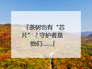 茶树也有“芯片”？守护者是他们……