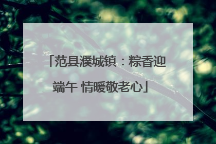 范县濮城镇：粽香迎端午 情暖敬老心