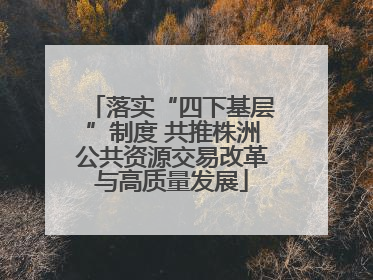 落实“四下基层”制度 共推株洲公共资源交易改革与高质量发展