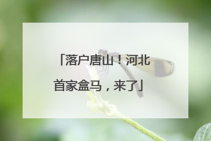 落户唐山！河北首家盒马，来了