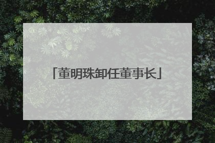董明珠卸任董事长