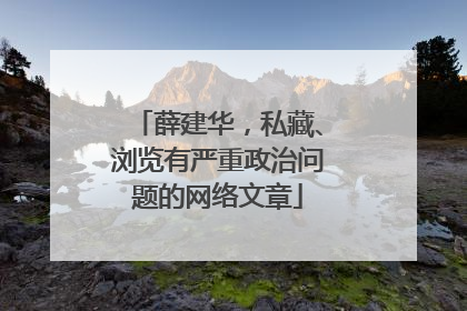 薛建华，私藏、浏览有严重政治问题的网络文章