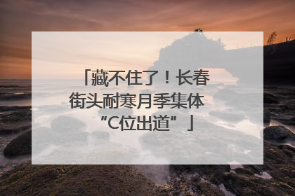 藏不住了！长春街头耐寒月季集体“C位出道”