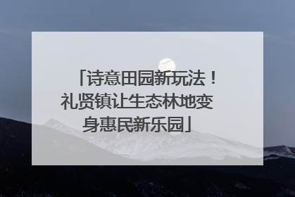 诗意田园新玩法！礼贤镇让生态林地变身惠民新乐园