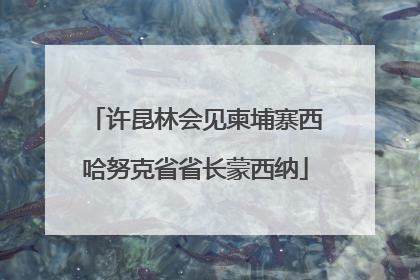 许昆林会见柬埔寨西哈努克省省长蒙西纳