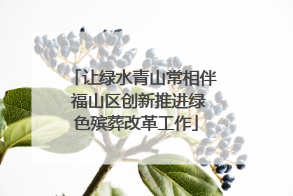 让绿水青山常相伴 福山区创新推进绿色殡葬改革工作