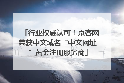 行业权威认可！京客网荣获中文域名“中文网址”黄金注册服务商