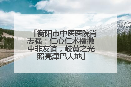 衡阳市中医医院肖志强：仁心仁术播撒中非友谊，岐黄之光照亮津巴大地