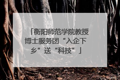 衡阳师范学院教授博士服务团“入企下乡”送“科技”
