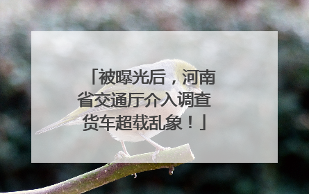 被曝光后，河南省交通厅介入调查货车超载乱象！